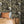 Horned Owl wallpaper by Tamlyn in black, horned owls in flight behind a bed