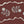 Jaipur border wallpaper by Parker and Jules in brown, full repeat of a trailing flower border