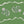 Jaipur border wallpaper by Parker and Jules in green, flat sample of a trailing flower border