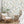 Jewel a Flutter wallpaper by Brand McKenzie in white, birds and blossoms in a living room