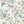 Jewel a Flutter wallpaper by Brand McKenzie in white, close-up of birds and blossoms