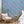 Jewel a Flutter wallpaper by Brand McKenzie in blue, birds and blossoms in a living room