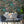 Jungle Life wallpaper by Brand McKenzie in dark green and pink, jungle animals in dense foliage behind a dining table