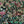 Jungle Life wallpaper by Brand McKenzie in dark green and pink, detail of jungle animals in dense foliage