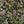 Jungle Life wallpaper by Brand McKenzie in green, close-up of jungle animals in dense foliage