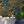 Jungle Life wallpaper by Brand McKenzie in orange and blue, detail of jungle animals in dense foliage