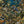 Jungle Life wallpaper by Brand McKenzie in dark green and blue, close view of jungle animals in dense foliage