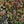 Jungle Life wallpaper by Brand McKenzie in orange, close-up of jungle animals in dense foliage