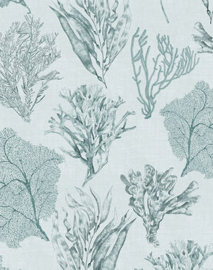 Kelp Forest wallpaper by XV Interiors in grey, flat sample of kelp and seaweed