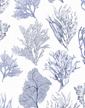 Kelp Forest wallpaper by XV Interiors in blue, full repeat of kelp and seaweed