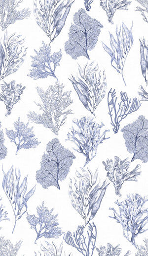 Kelp Forest wallpaper by XV Interiors in blue, pattern sample of kelp and seaweed