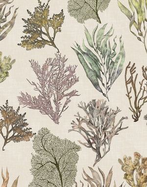 Kelp Forest Wallpaper in Vintage Original wallpaper by XV Interiors in cream and green, flat sample of kelp and seaweed