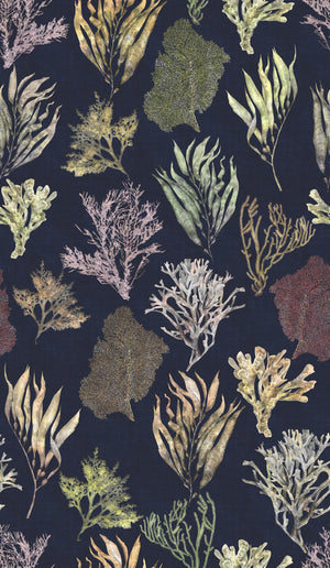 Kelp Forest wallpaper by XV Interiors in navy, full repeat of kelp and seaweed