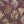 Kelp Forest Wallpaper in Garnet Red wallpaper by XV Interiors in red and green, flat sample of kelp and seaweed