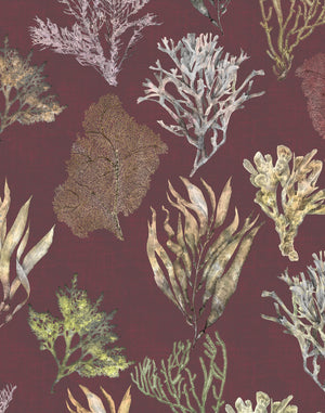 Kelp Forest Wallpaper in Garnet Red wallpaper by XV Interiors in red and green, flat sample of kelp and seaweed
