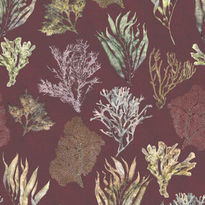 Kelp Forest Wallpaper in Garnet Red wallpaper by XV Interiors in red and green, full repeat of kelp and seaweed