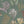 Kelp Forest wallpaper by XV Interiors in green, full repeat of kelp and seaweed