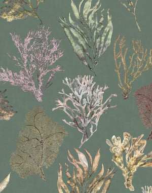 Kelp Forest wallpaper by XV Interiors in green, full repeat of kelp and seaweed