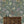 Kelp Forest wallpaper by XV Interiors in green, kelp and seaweed above a sideboard