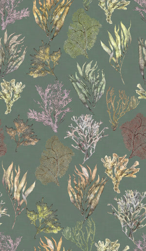 Kelp Forest wallpaper by XV Interiors in green, pattern sample of kelp and seaweed
