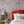 Palamara wallpaper by Deus ex Gardenia in blue and red, mirrored birds and flowers behind a bed