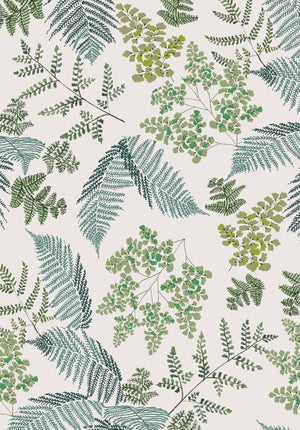 Lace Ferns wallpaper by Parker and Jules in green, full repeat of lacy ferns