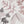 Lace Ferns wallpaper by Parker and Jules in pink, pattern sample of lacy ferns