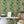 Leopard wallpaper by Brand McKenzie in green and cream, leopards among palm fronds above a work desk