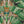 Leopard wallpaper by Brand McKenzie in green and cream, pattern detail of leopards among palm fronds