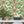 Leopard wallpaper by Brand McKenzie in green and cream, leopards among palm fronds in a home office