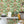 Leopard wallpaper by Brand McKenzie in green and cream, leopards among palm fronds behind a desk in a home office