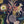 Les Plumes wallpaper by Tatie Lou in navy, full repeat of exotic birds and blooms