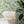 Lido wallpaper by Brand McKenzie in green, a lido and poolside scene in a living room