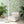 Lido wallpaper by Brand McKenzie in green, a lido and poolside scene behind a sofa in a living room