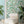 Lido wallpaper by Brand McKenzie in turquoise, a lido and poolside scene in a living room