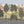 Mayura Valley wallpaper by Deus ex Gardenia in sage green and yellow, close-up of a peacock valley mural