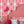 Marco Island wallpaper by Liberty James Studio in pink, a scrolling damask design in a bedroom
