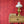Squirrel and Sunflower wallpaper by St. Jude's in red, squirrels and sunflowers above a cabinet