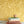 Wren wallpaper by St. Jude's in yellow, wrens among leaves above a cabinet