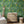 Monkey Forest wallpaper by Brand McKenzie in green and yellow, monkeys in tropical leaves behind a console table