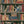 Monkey Library wallpaper by Brand McKenzie in green, close view of monkeys in a bookcase