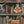 Monkey Library wallpaper by Brand McKenzie in green, close-up of monkeys in a bookcase