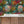 Octopus wallpaper by Brand McKenzie in red and green, octopus and sea life in a bathroom setting