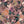 Swallows and Blooms wallpaper by Tatie Lou in pink, flat sample of swallows and peonies