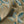 Pachamama velvet by Tatie Lou in beige, draped, showing flying cranes
