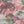 Painting in Colour wallpaper by Brand McKenzie in pink and green, close view of painterly floral clouds