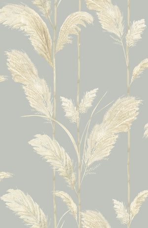 Pampas Grass wallpaper by Brand McKenzie in cream, detail of pampas grass plumes