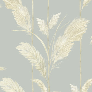 Pampas Grass wallpaper by Brand McKenzie in cream, close-up of pampas grass plumes