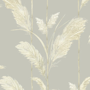 Pampas Grass wallpaper by Brand McKenzie in cream, close view of pampas grass plumes