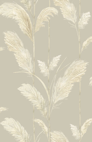 Pampas Grass wallpaper by Brand McKenzie in cream, detail of pampas grass plumes (alternate view)